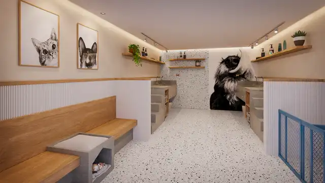 Vivant Caminho das Árvores - Pet Care