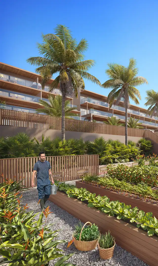 Maui - Horta Compartilhada