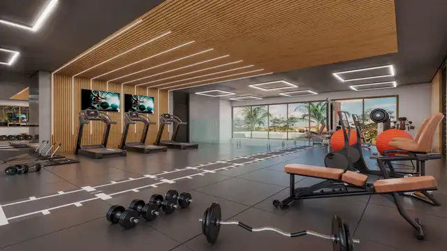 Vista - Academia