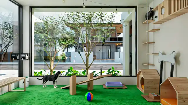 Solar das Jabuticabeiras - Pet Space